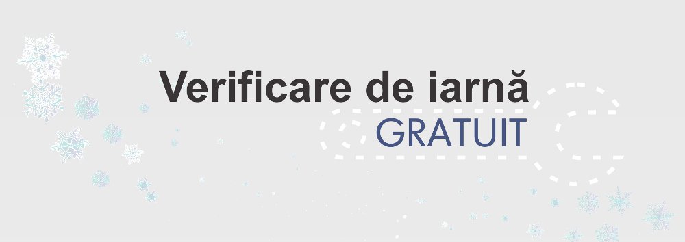 Verificare iarna