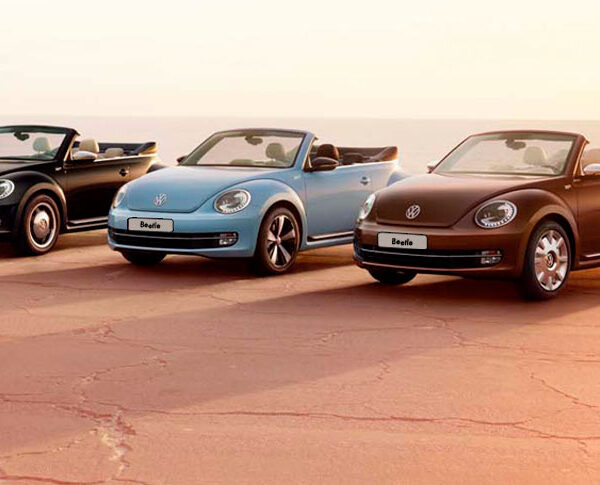 Beetle 960x485 1 600x485