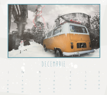 12 decembrie 360x320