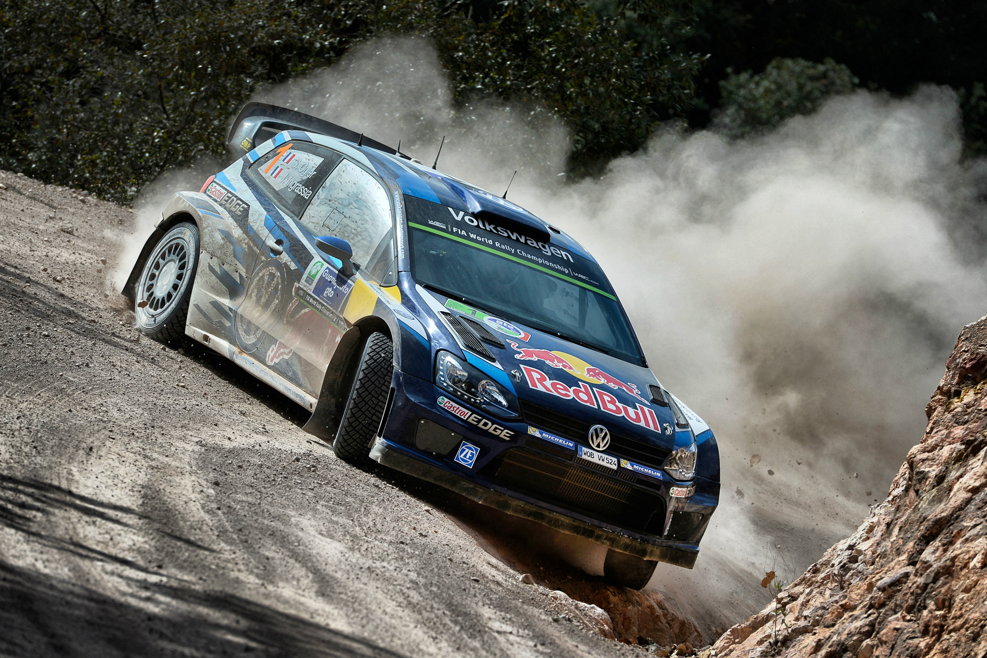 20150031969 OGIER